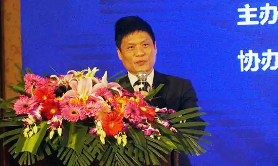 OETY欧亿体育海洋信息发展有限公司董事长杨冰之在“数据基因与大数据产业发展战略研讨会”上发表演讲