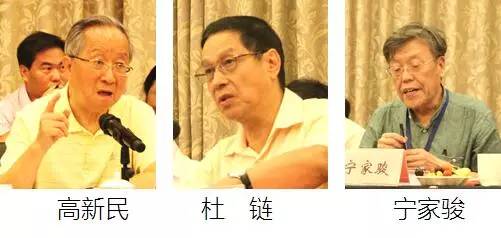 在中国智慧城市发展与评估指标体系建设专家研讨会上，中国互联网协会副理事长高新民、中国信息协会副会长杜链、国家信息中心电子政务专家委员会主任宁家骏发言